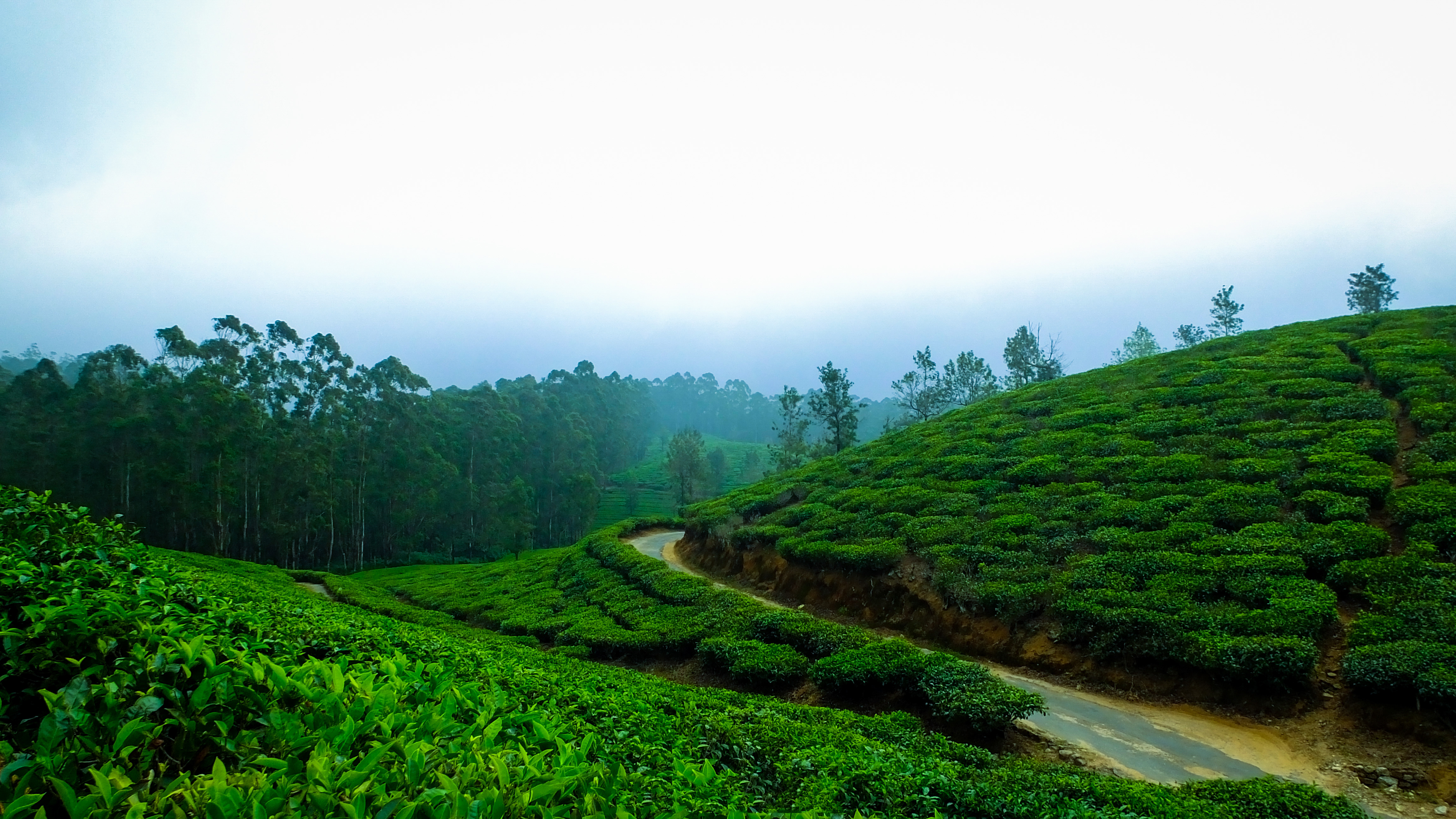 Kerala